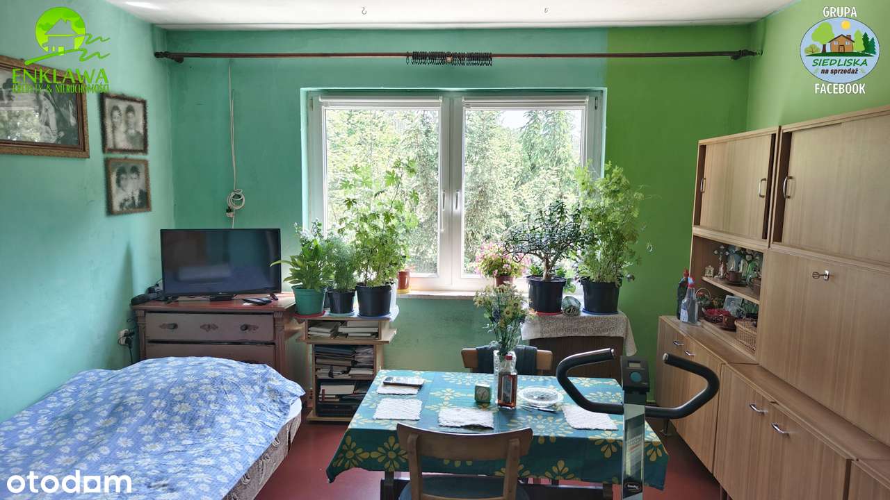 ENKLAWA prezentuje: LEŚNICZÓWKA niedaleko Krosna Odrzańskiego! CUDO!-9