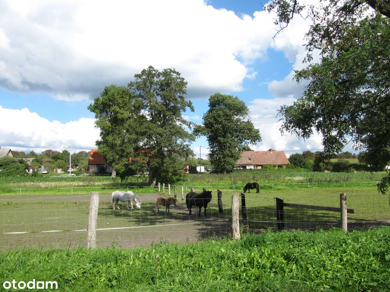 1h grunt pod zabudowę rezydencjonalną Wielkopolski Park Narodowy-16