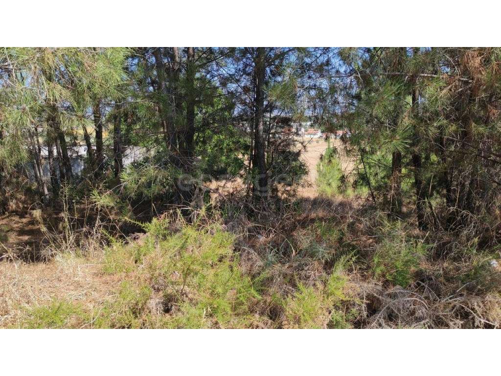 Lote para construção de moradia isolada perto da cidade de Torres N... - Grande imagem: 2/12