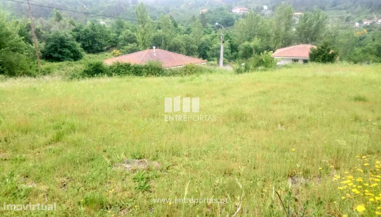 Venda Terreno c/ possibilidade de construção de Moradia, Soalhães, - Grande imagem: 2/36