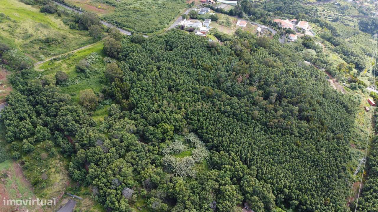 Terreno em Santa Cruz, Ilha da Madeira-3