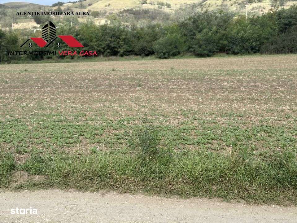 Teren extravilan 7400 mp de vanzare la iesire din  Sebes spre Daia-5