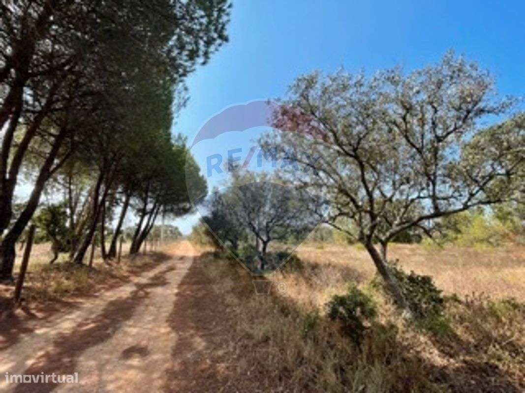 Terreno  para venda - Grande imagem: 2/4