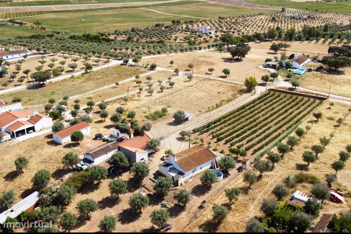 Quinta T2 para venda - Grande imagem: 1/29