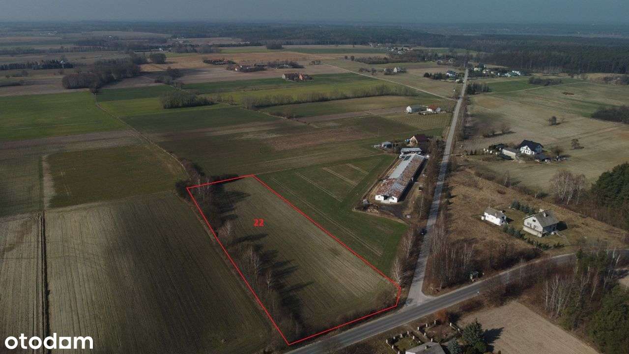 Działka inwestycyjna Korzeń Królewski - Pełny obrazek: 4/8