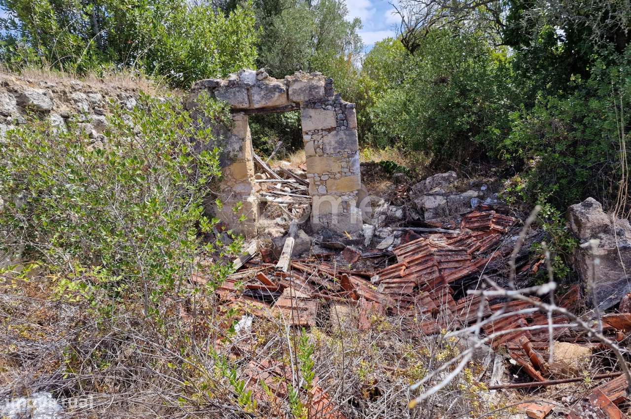 Ruina com terreno 11.878m2 vale da Talha Carvalhal Santarém - Grande imagem: 2/17