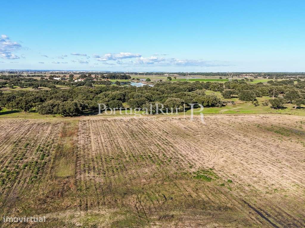 Herdade de 60 hectares para criação bovina e equina perto de Lisboa-17
