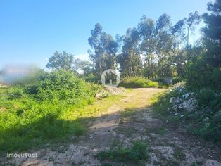 Terreno para construção de moradia individual em Gião, Vila do Conde