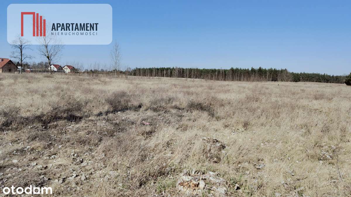 Atrakcyjna Cena !! działka pięknym  widokiem - Pełny obrazek: 4/8