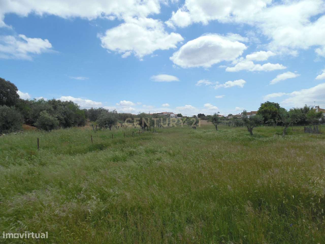 Quinta em Capelins,  Alandroal - Évora,  Oportunidade Única-56
