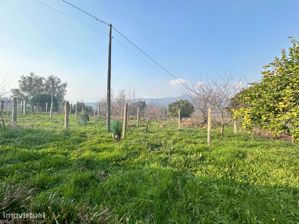 Moradia em fase de construção - Grande imagem: 5/9