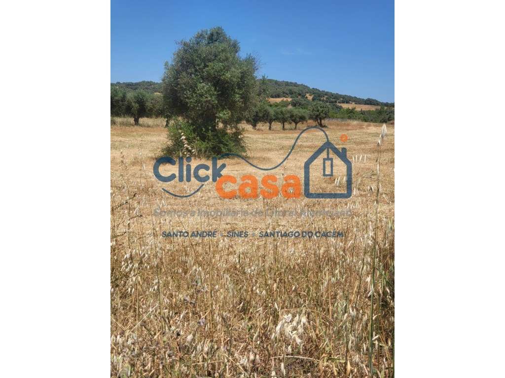 Terreno Rústico - Grande imagem: 3/11