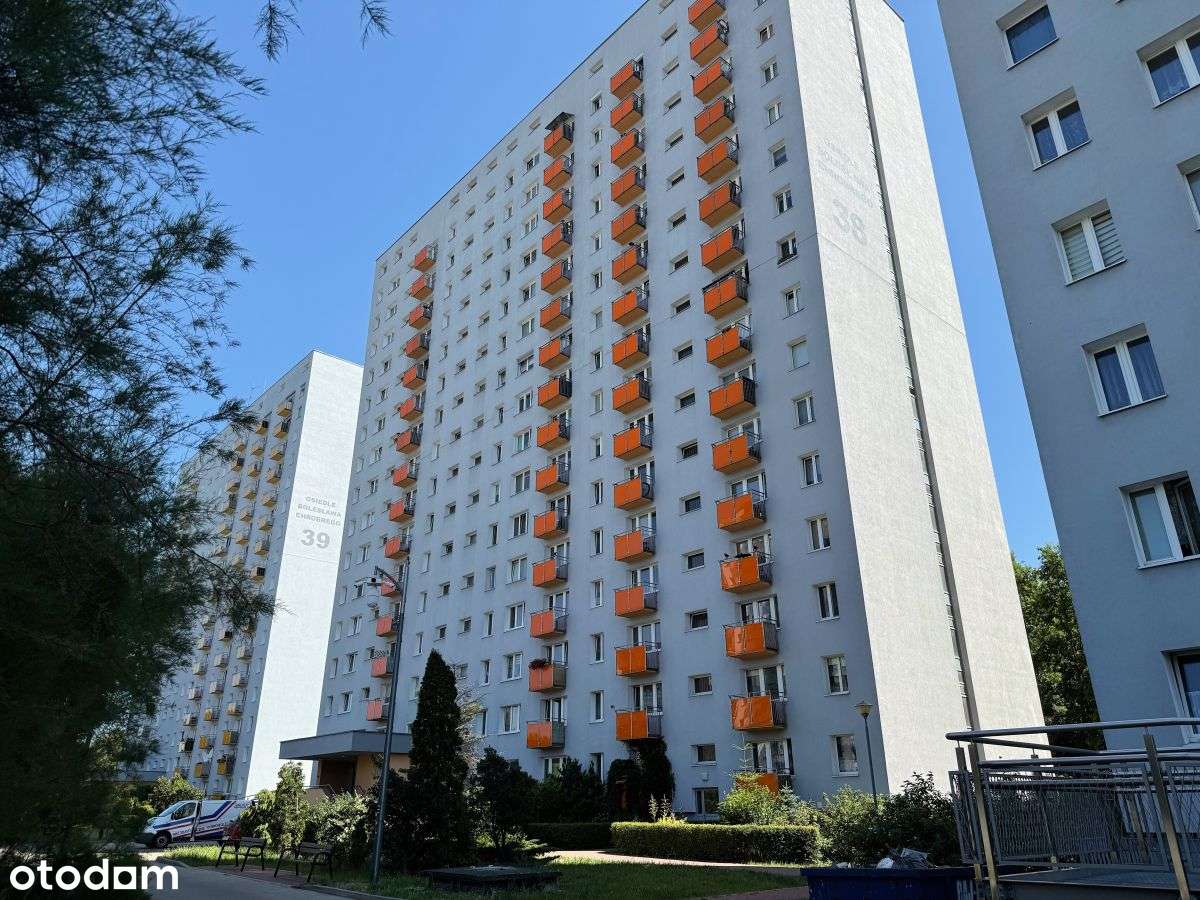 Piękny widok na panoramę, układ niezależny,-9