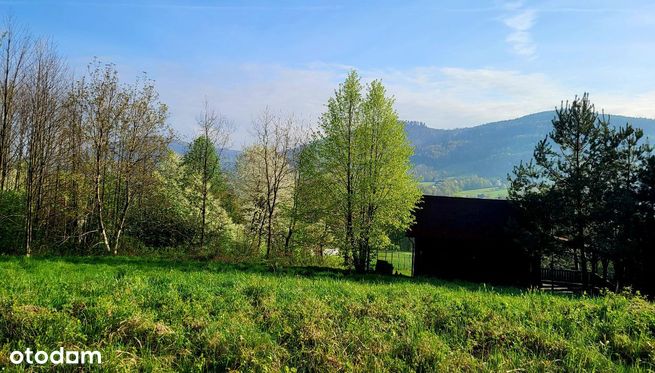 Pod lasem widokowa działka bud 1000m2 BRENNA