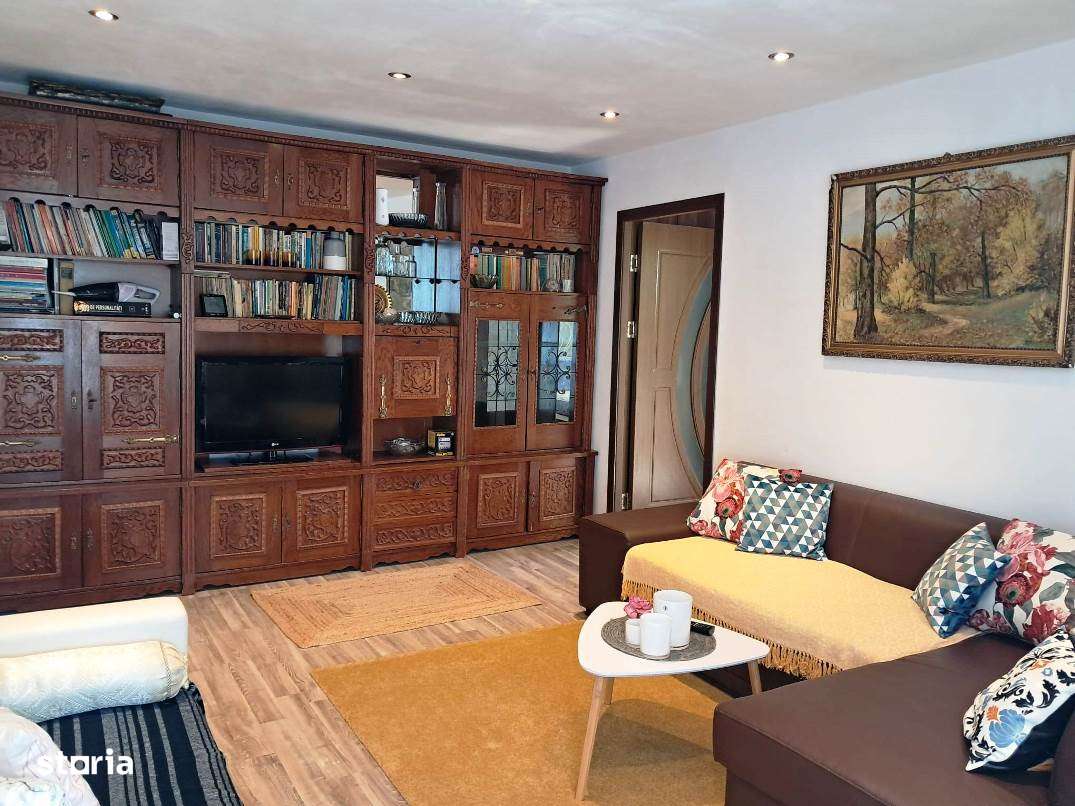 Apartament cu 2 camere zona Terezian-4