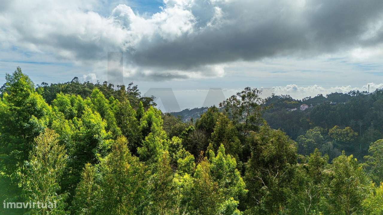 Terreno localizado na Camacha, com área total de 1.430 m2-6