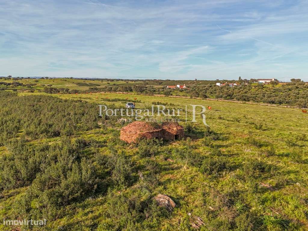 Herdade de 23 hectares com construções rurais - Grande imagem: 3/19