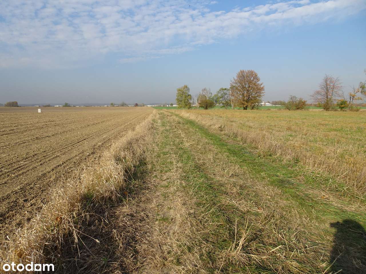 Działka w Bartoszowie-0