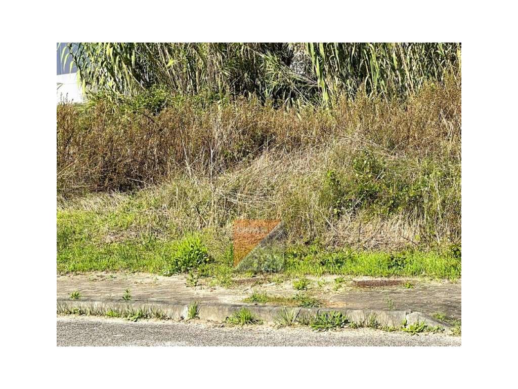 Terreno Barosa Leiria-10