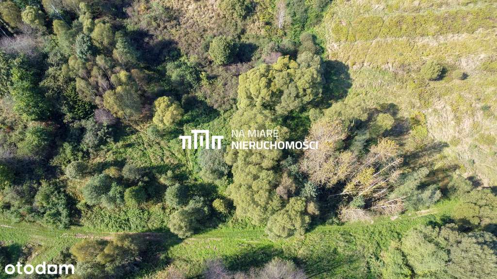 Działka rolna IV klasy | 36.3 ar - Pełny obrazek: 5/11