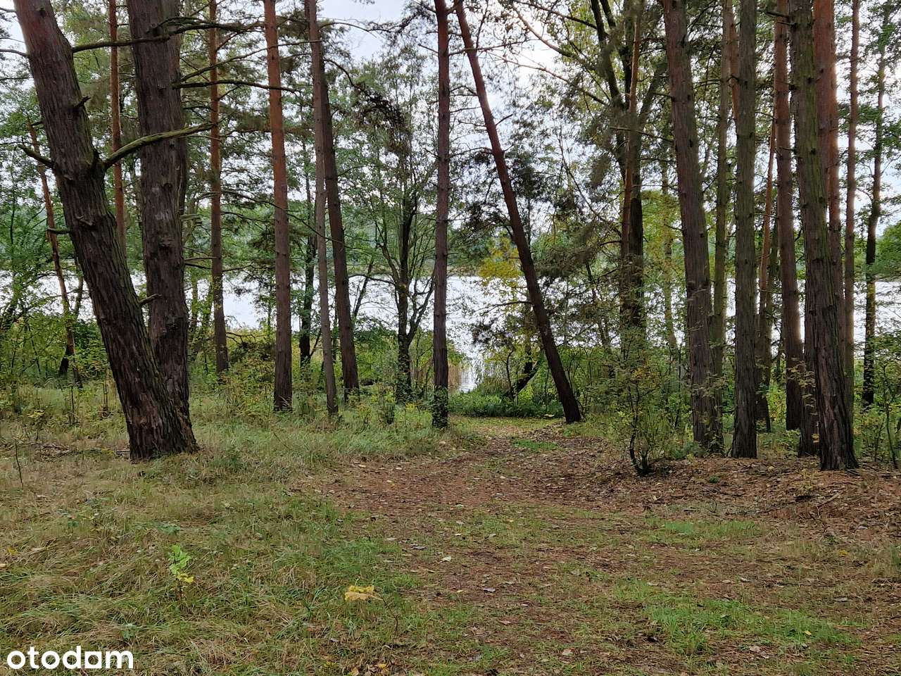 Miastko - działka  z projektem i fundamentami - bezpośrednio - Pełny obrazek: 1/9