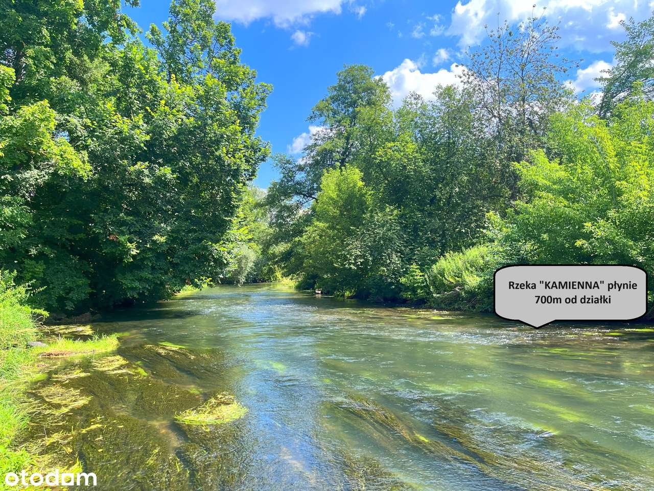 Tania działka blisko Juraparku Bałtów - Pełny obrazek: 5/14