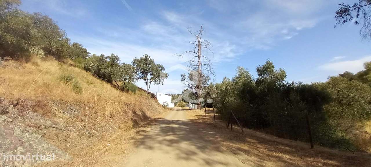 Magnifica Quinta com vista para o Rio Guadiana-18