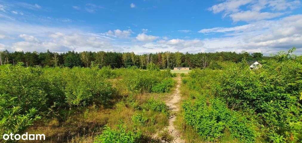 Działka, 1 059 m², Chotomów-2