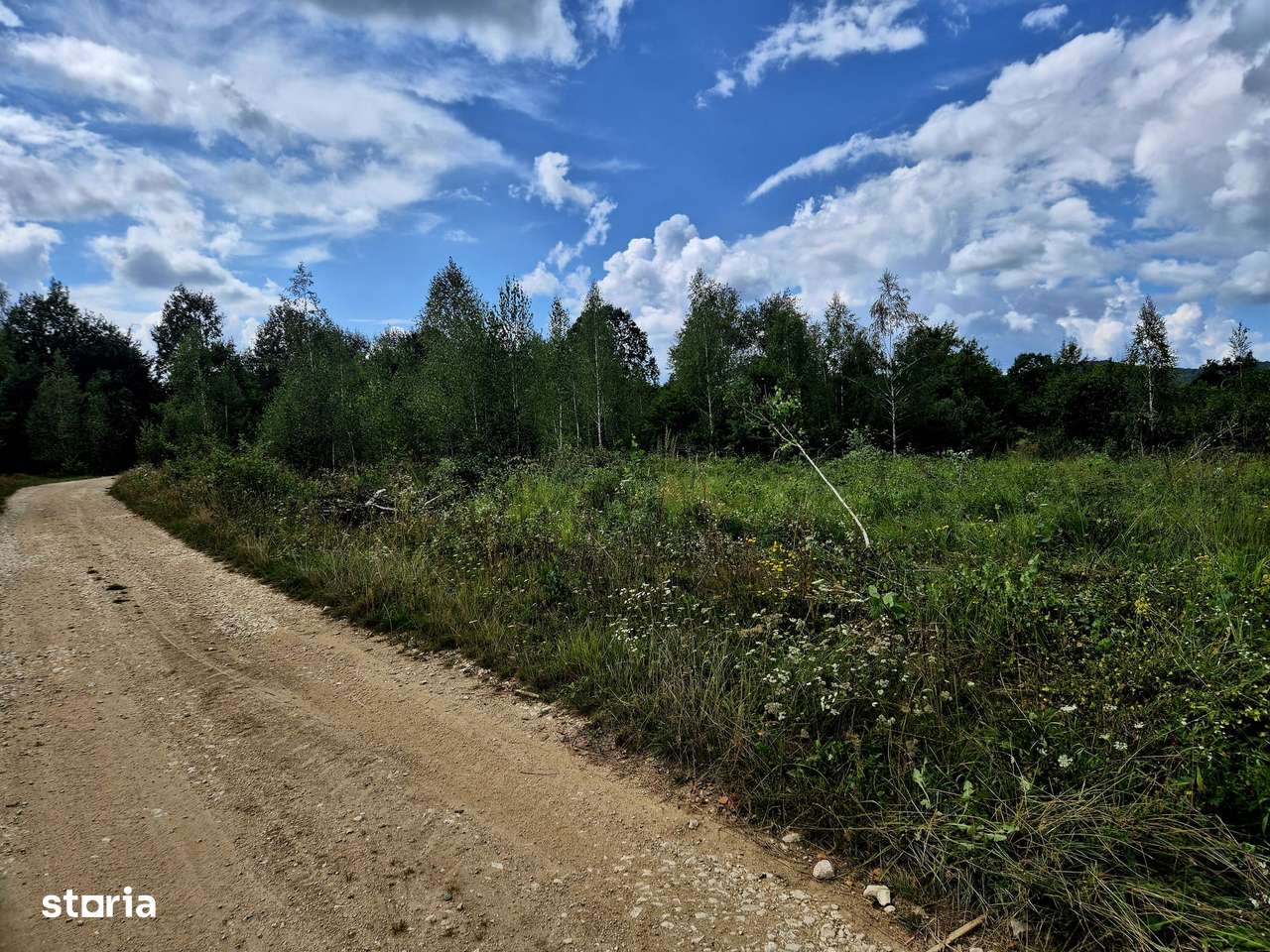 Teren ideal refugiu de weekend, 3182 mp/Plata in 2 rate !-5