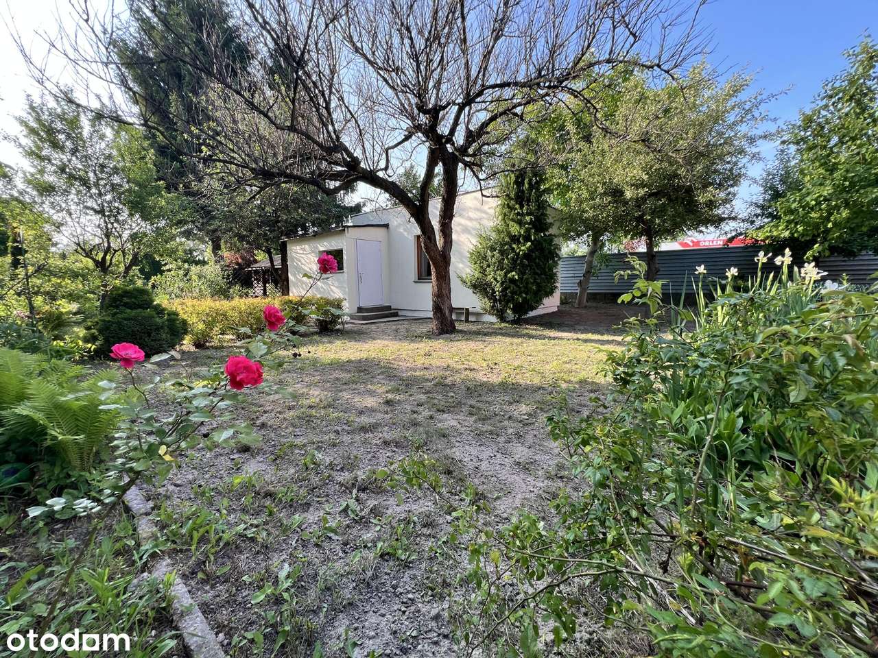 Zielona| Cicha| Ustawna | Działka ROD 220 m2 | Domek 30m2| Włochy-14