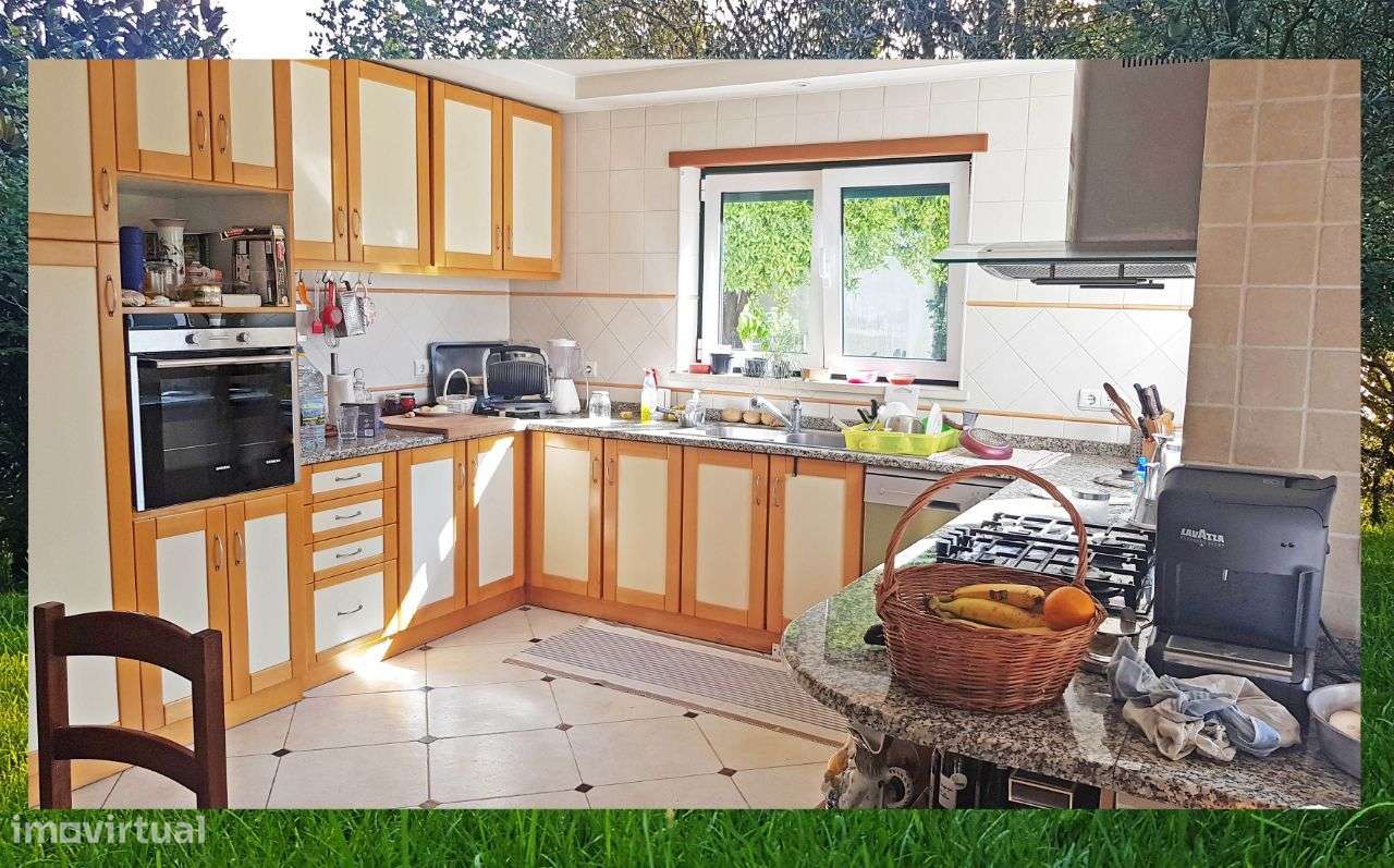 Quintinha com Mata secular-23