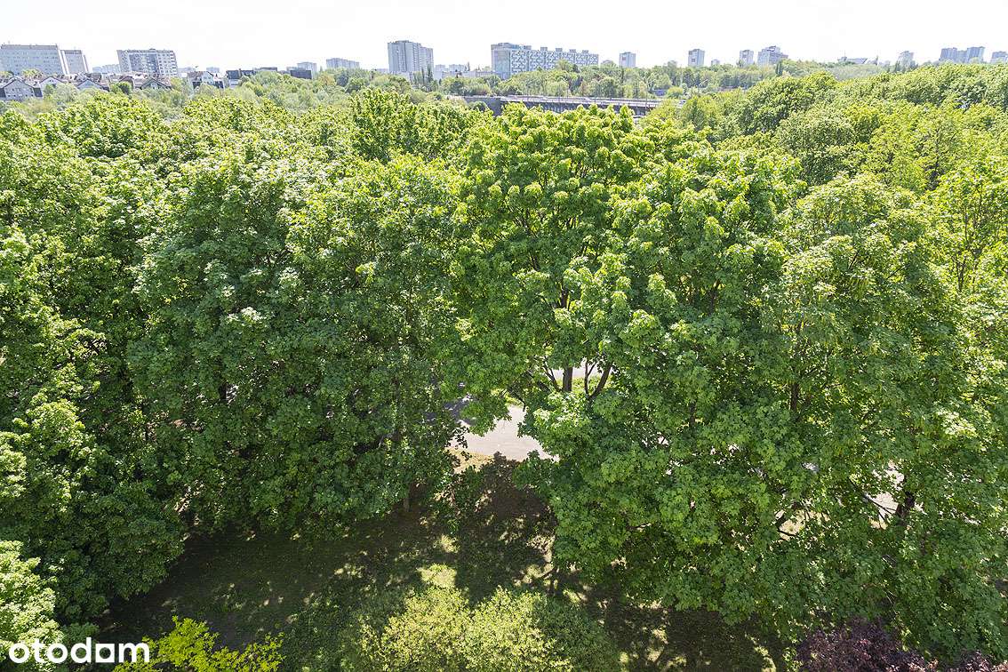 PRZESTRONNY APARTAMENT Z BEZPOŚREDNIM WIDOKIEM NA WARTĘ - GALILEO