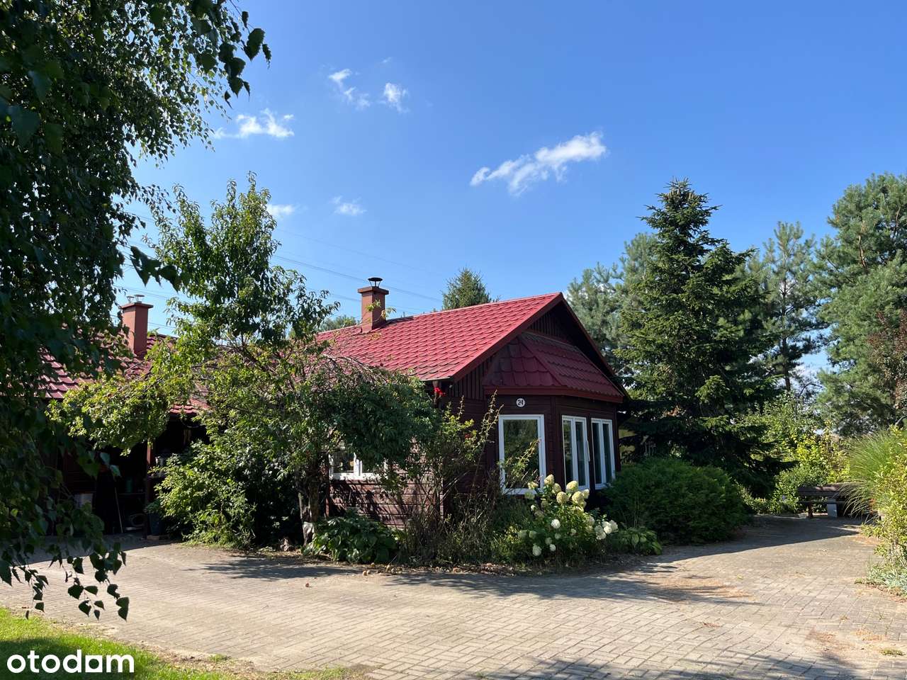 Działka zabudowana domem z pięknym ogrodem w Dąbrowie-4