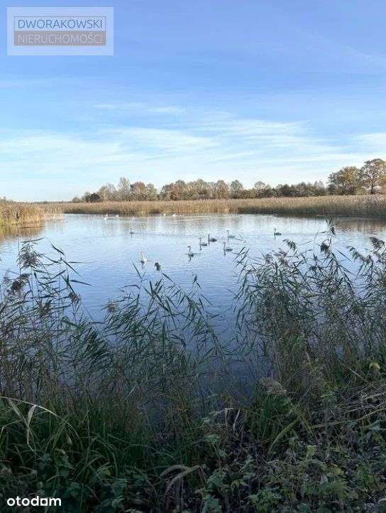Działki budowlane, dojazd asalt, media, światłowód - Pełny obrazek: 4/5