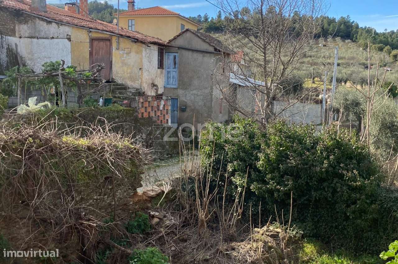 Conjunto de 4 artigos em Olmos - Macedo de Cavaleiros - Grande imagem: 3/15