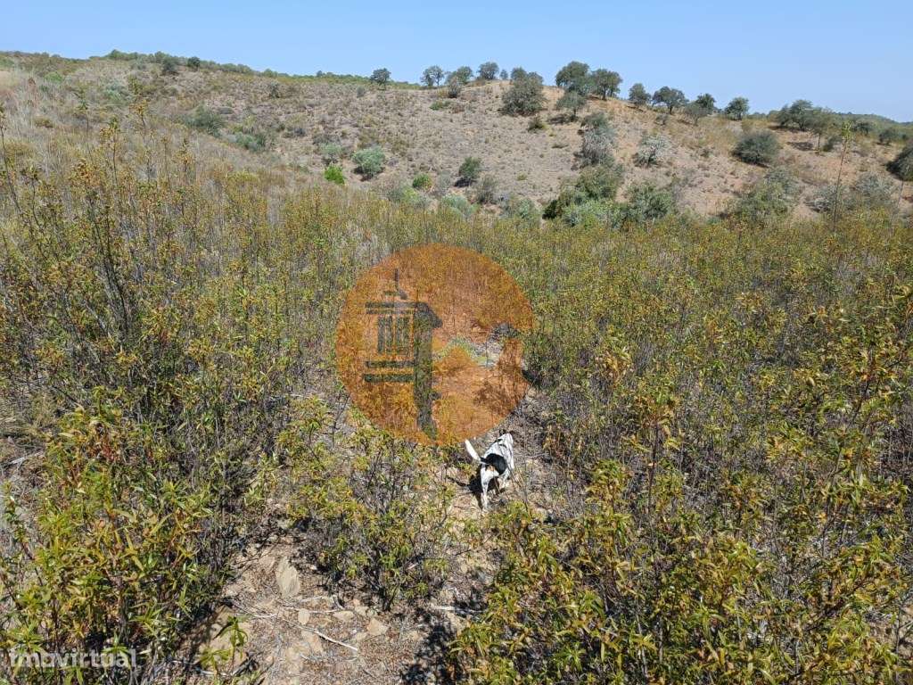 TERRENO RUSTICO COM 7.240 M2 - PRÓXIMO A ALDEIA DOS BALURCOS EM ALC... - Grande imagem: 4/22