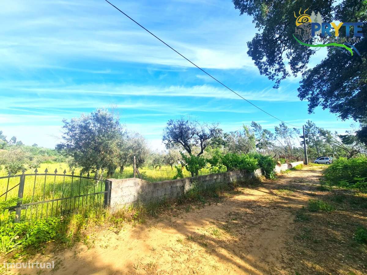 Quintinha agrícola situada Casalinho/Tapada-6