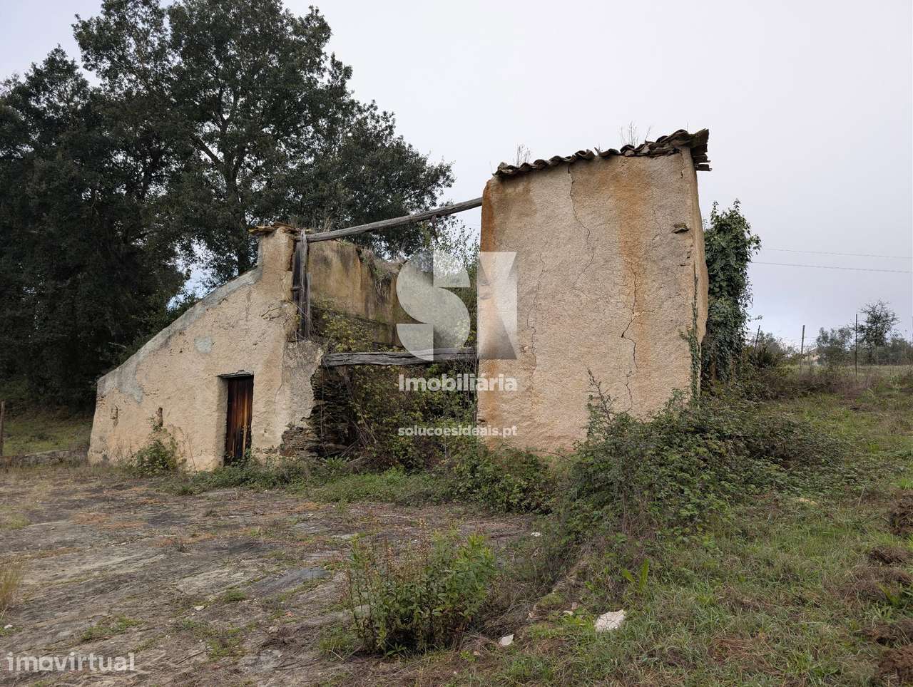 Terreno em O.do Mondego c/Ruina - Grande imagem: 5/8