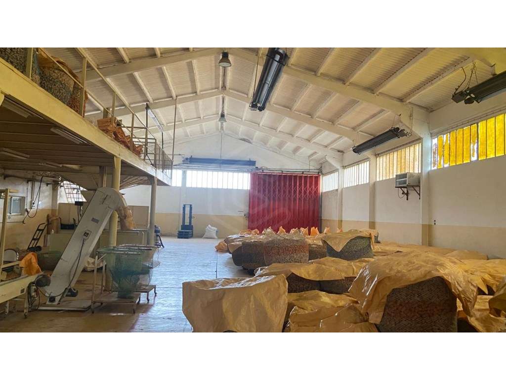 Fabrica com 3 Pavilhões independentes - Grande imagem: 4/32