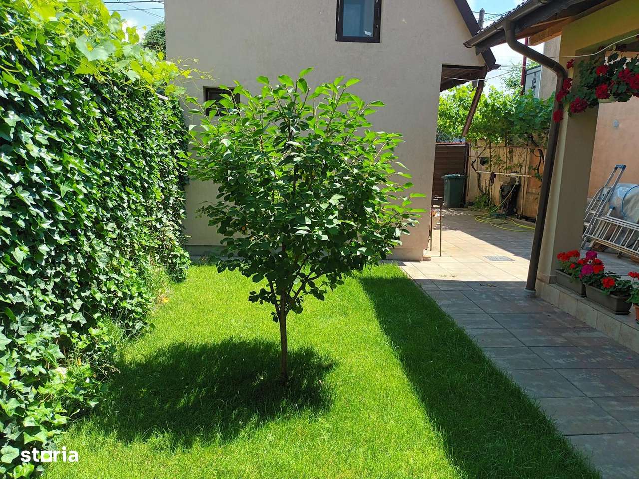 Vanzare proprietate cu doua case si intrari separate curte Giulesti-10