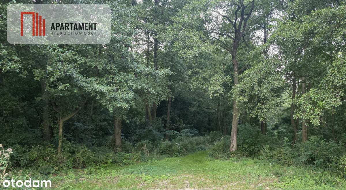 Działka blisko jeziora ,las, 3300m2 - Pełny obrazek: 4/15