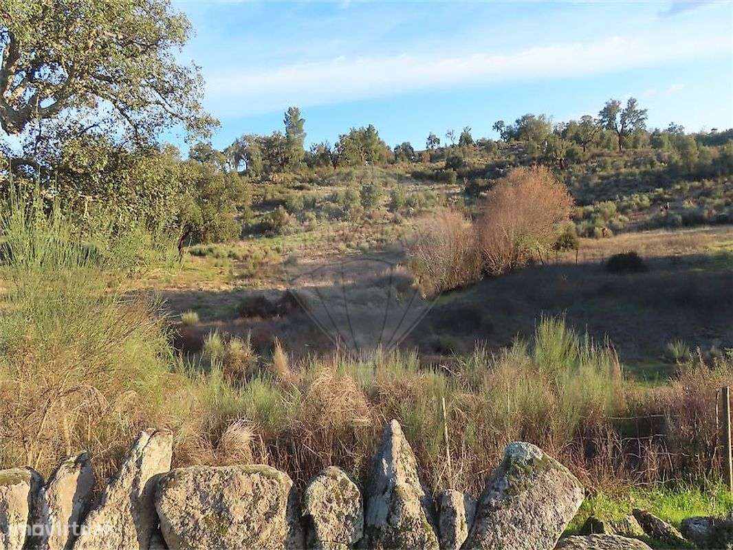 Quinta  para venda - Grande imagem: 4/38