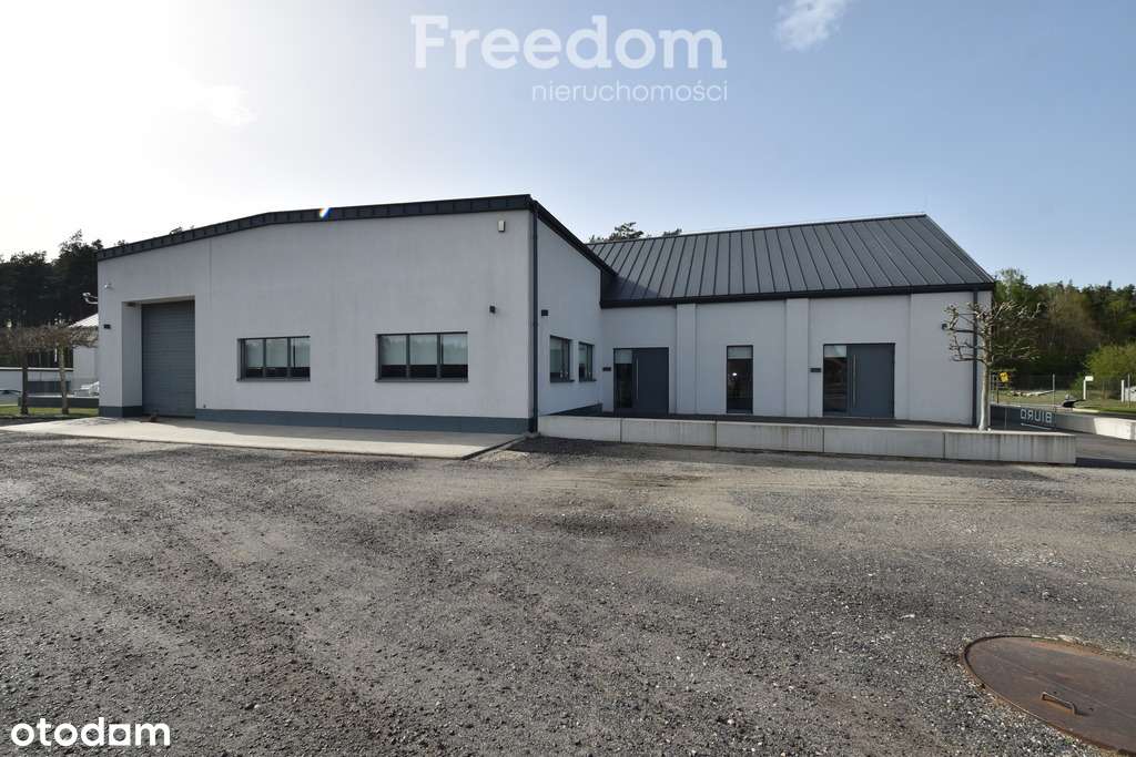 Luksusowy dom pod lasem, 1ha na który Cię nie stać - Pełny obrazek: 4/20