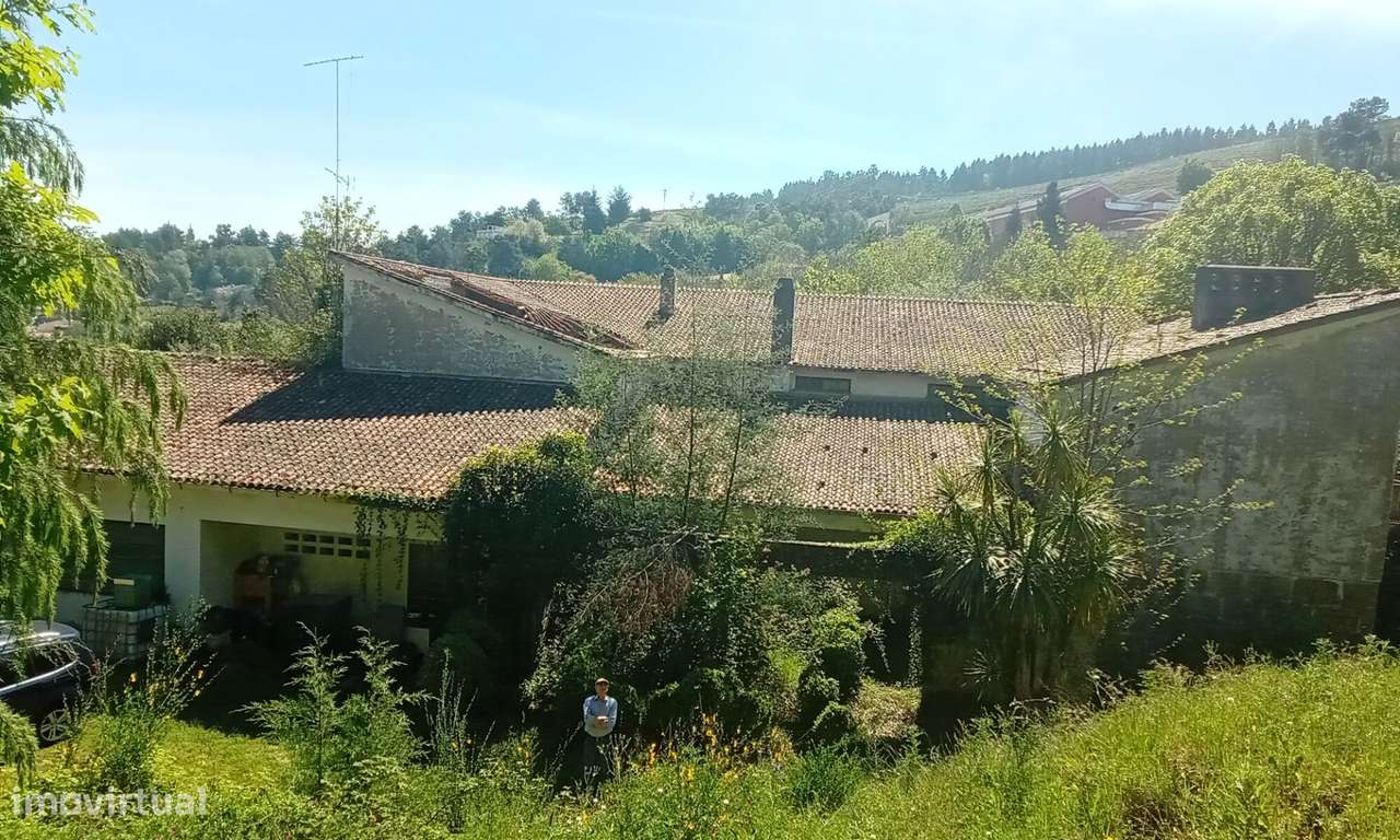Terreno para Venda em Lamego: Grande Oportunidade de Investimento-14