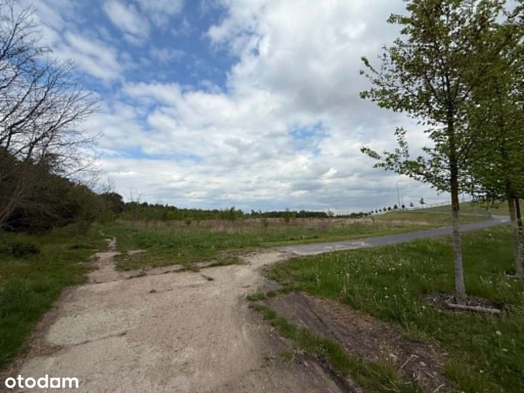 Ponad pół hektara zieleni nad Bystrzycą !-4