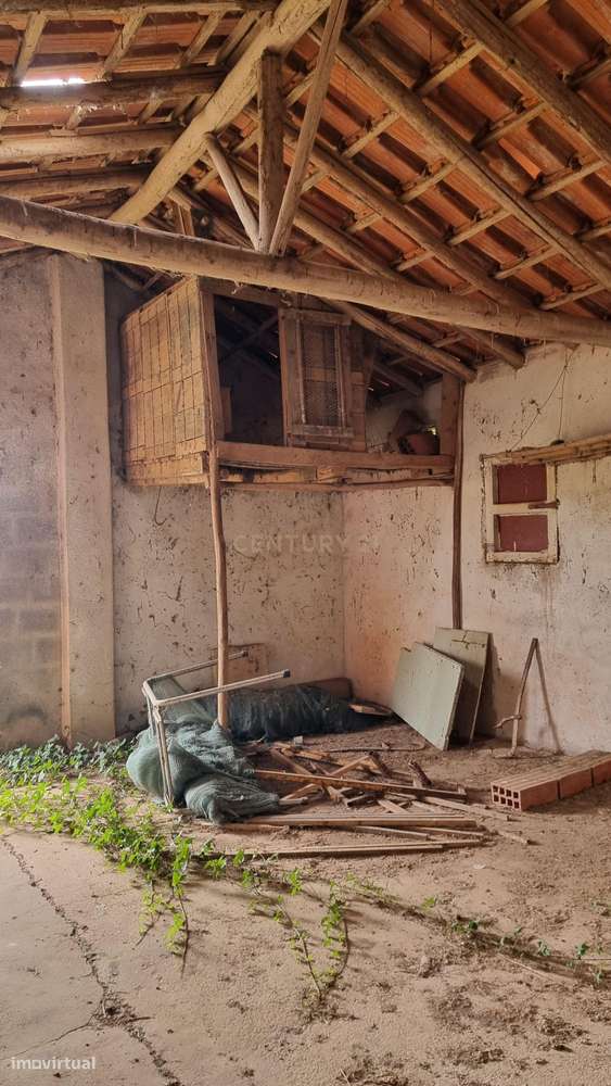 Terreno Agrícola em Freiria, Torres Vedras - 39.900€ - Grande imagem: 4/4