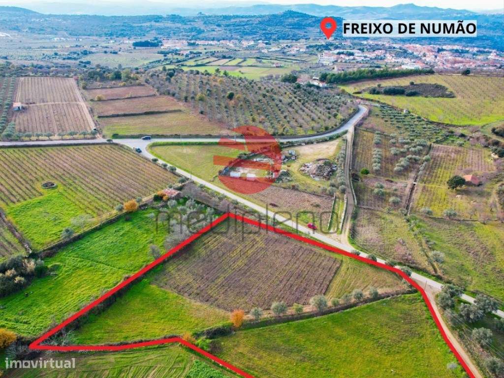 TERRENO RÚSTICO - Grande imagem: 5/6