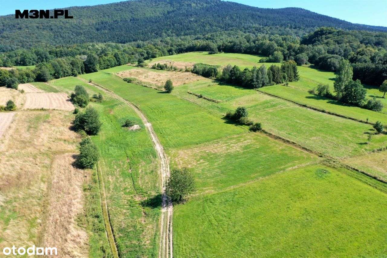 Działka budowlana 25 arów Wiśniowa / Dobczyce-10