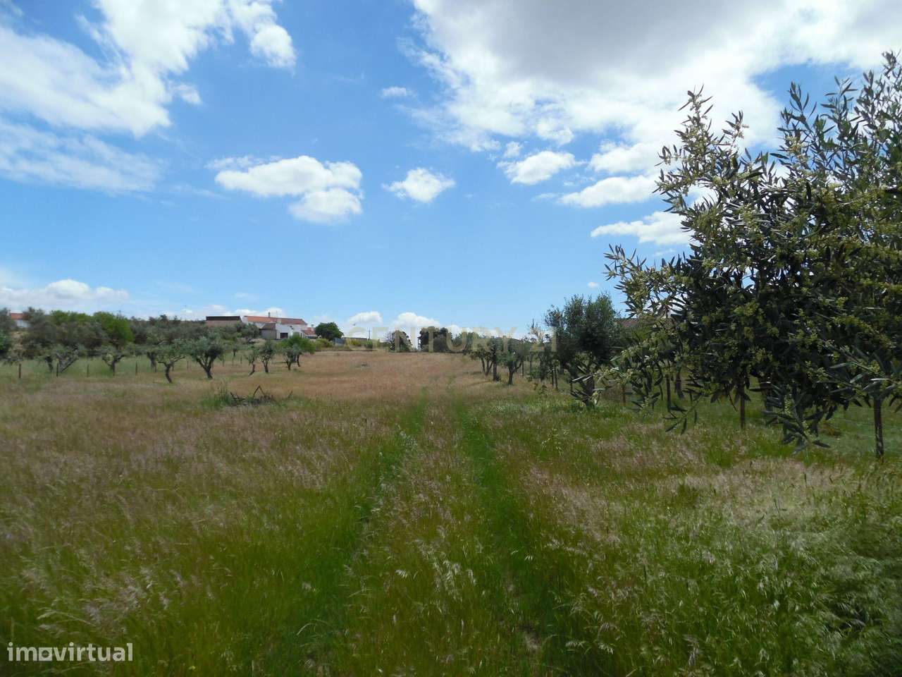 Quinta em Capelins,  Alandroal - Évora,  Oportunidade Única-44