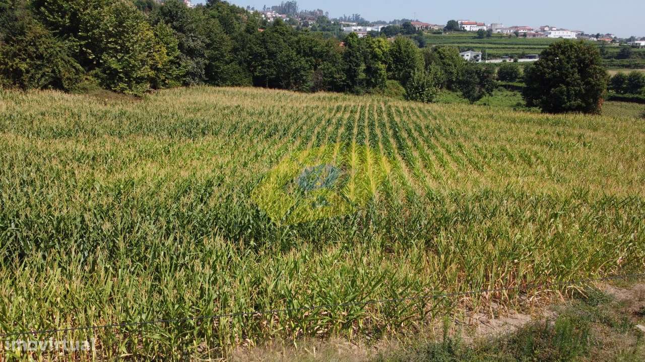 Lote de terreno com 1200m2 em Torrados - Felgueiras - Grande imagem: 5/5